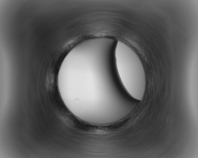 X0000085310308200703091100
