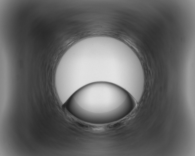 X0000085310309200703091100
