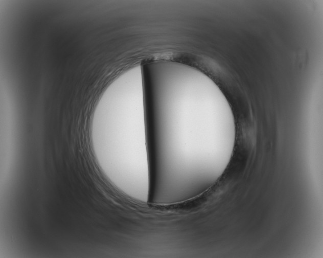 X0000085310311200703091059