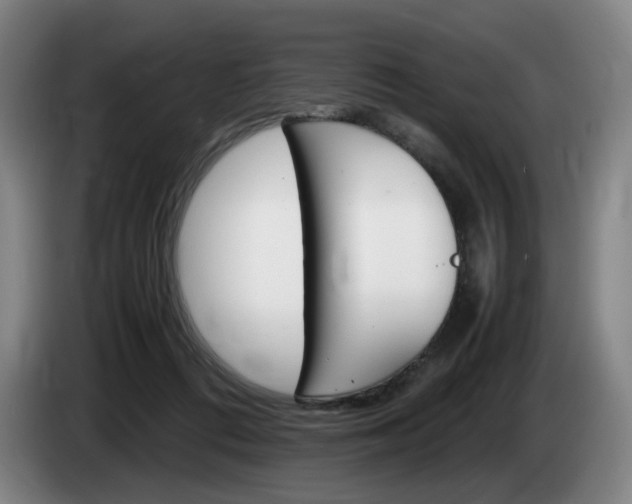 X0000085310312200703091059