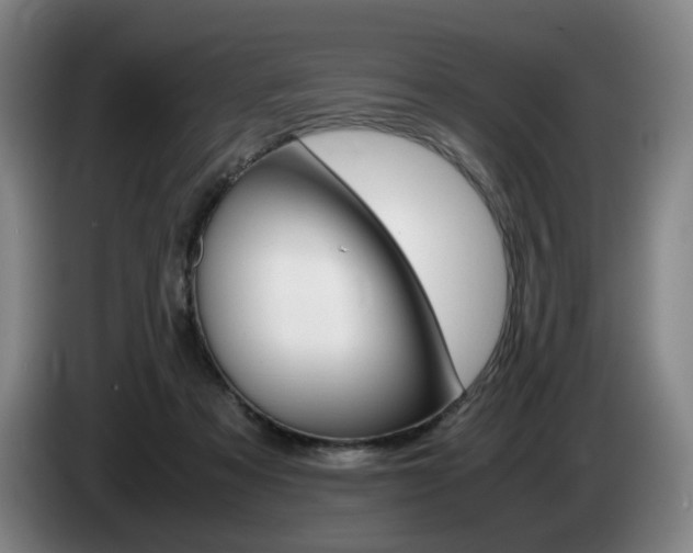 X0000085310313200703091059