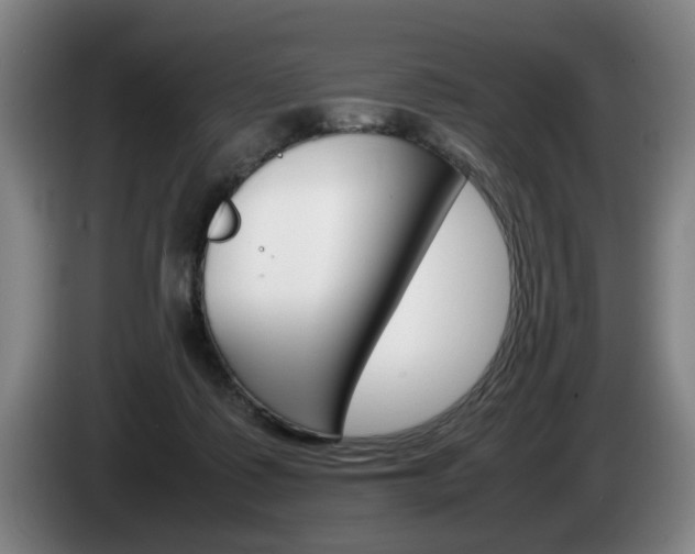 X0000085310315200703091059