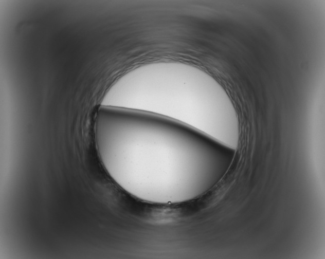 X0000085310319200703091059