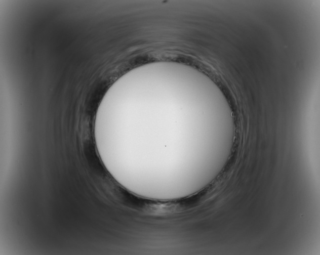 X0000085310323200703091059
