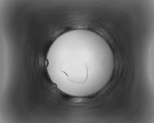X0000085310326200703091059