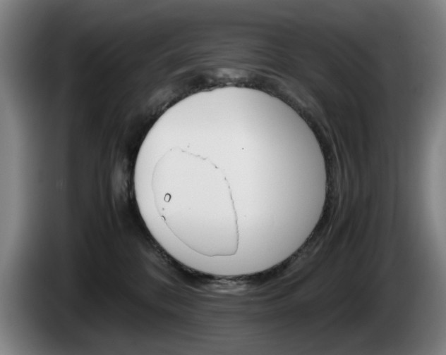 X0000085310328200703091059