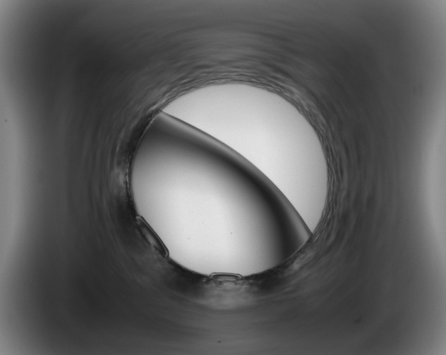 X0000085310329200703091059