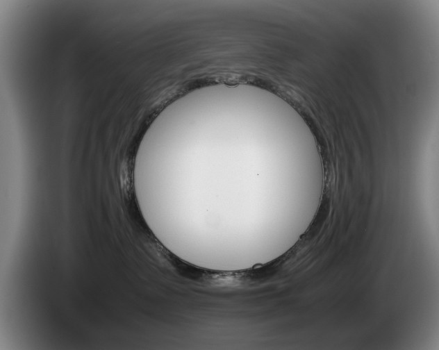 X0000085310335200703091059