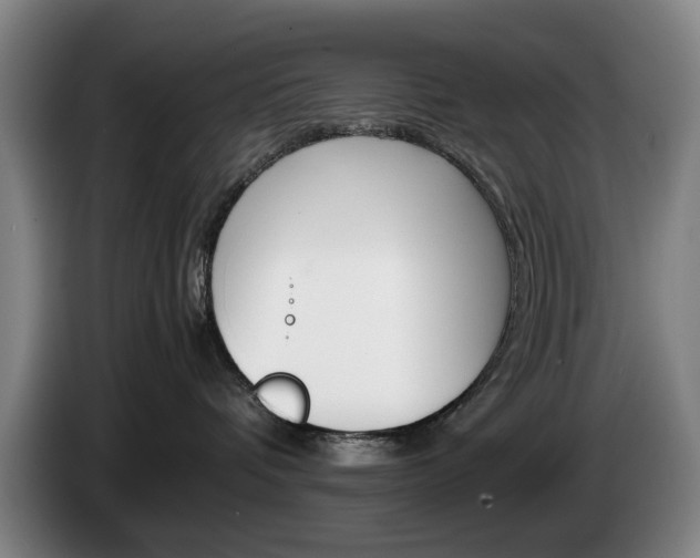 X0000085310336200703091059