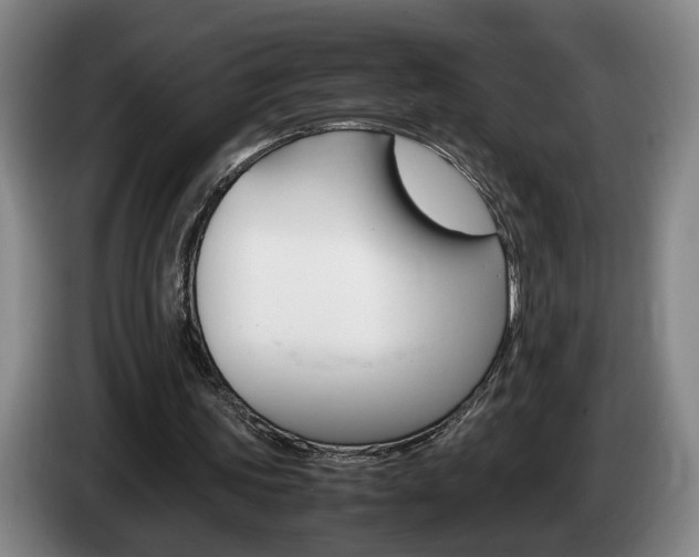 X0000085310339200703091059