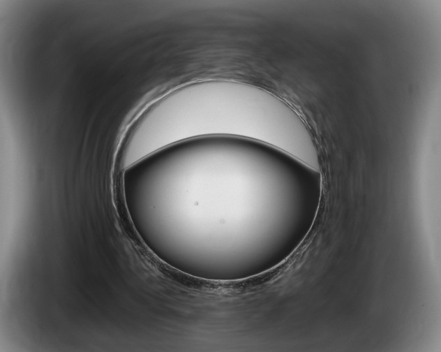 X0000085310340200703091059