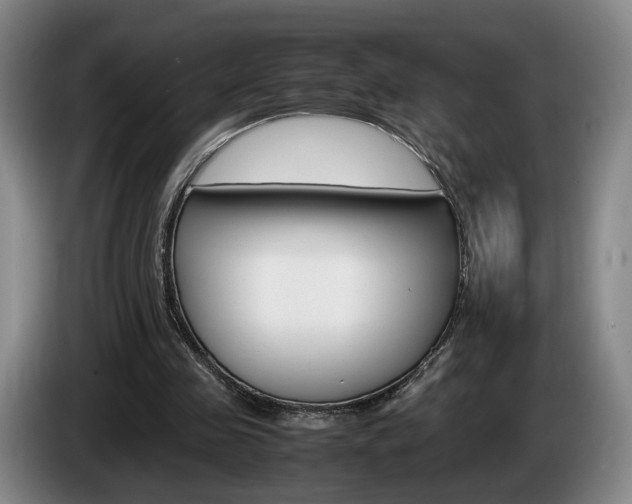 X0000085310341200703091059