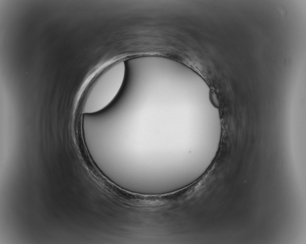 X0000085310342200703091059