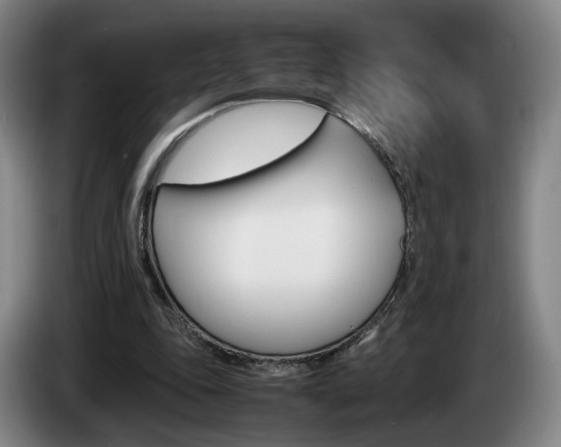 X0000085310343200703091059