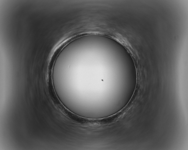 X0000085310344200703091059