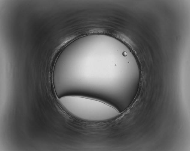 X0000085310345200703091059