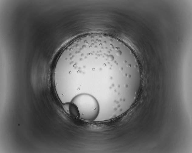 X0000085310346200703091059