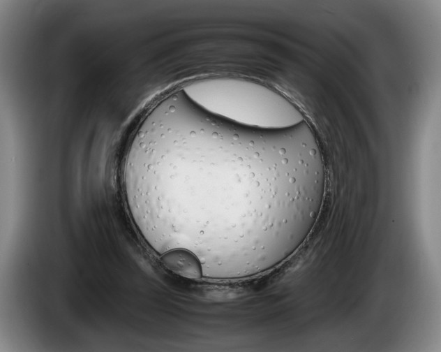 X0000085310347200703091059