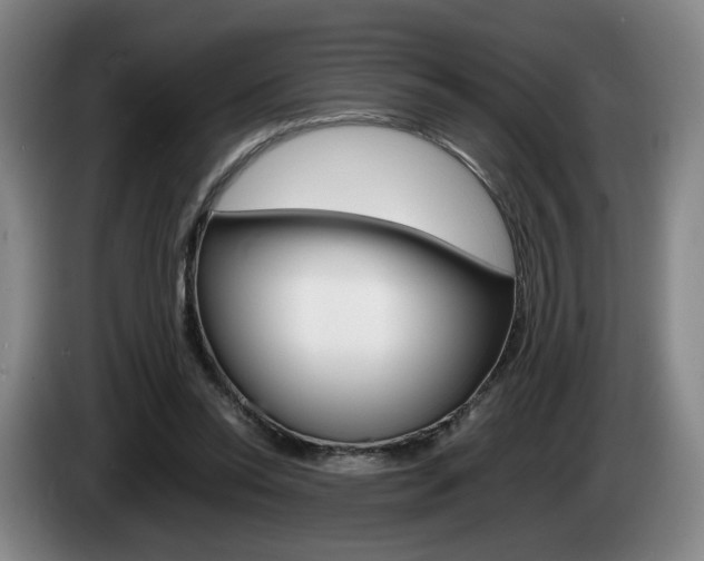 X0000085310350200703091059