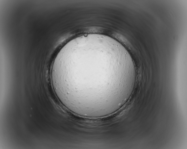 X0000085310351200703091059