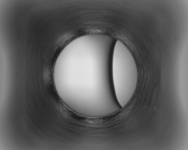 X0000085310359200703091059