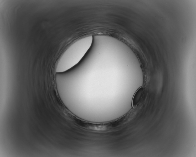 X0000085310361200703091059