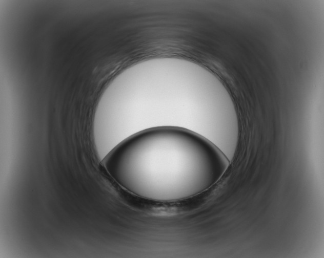 X0000085310362200703091059