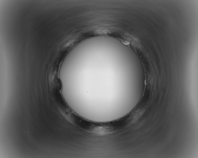 X0000085310364200703091059