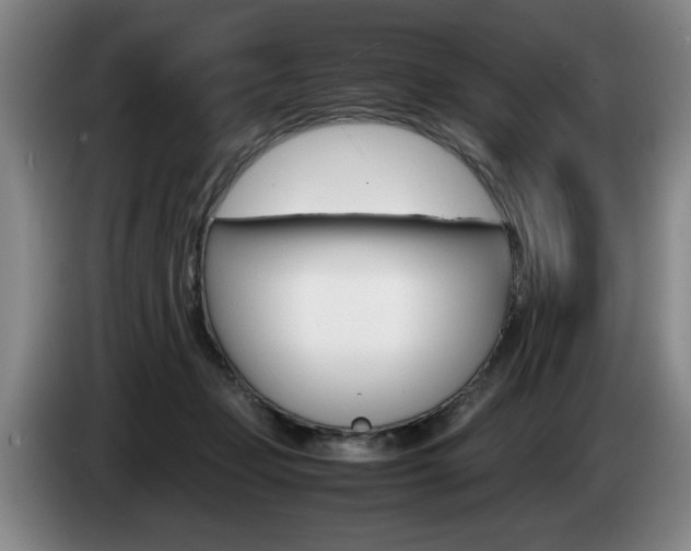 X0000085310365200703091059
