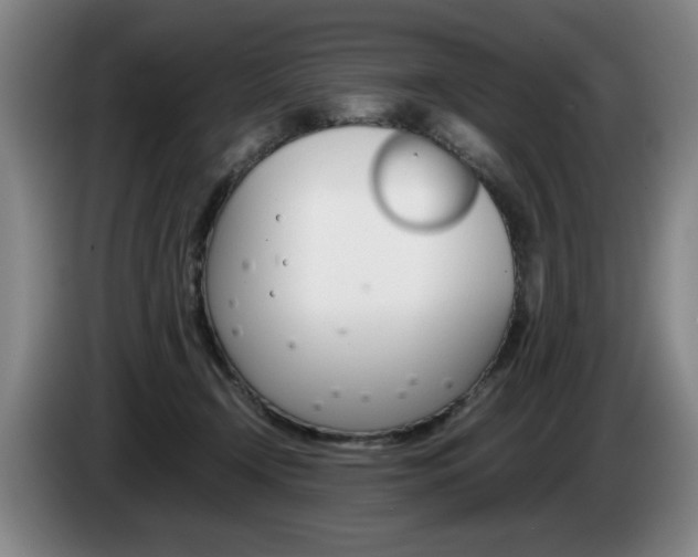 X0000085310366200703091059