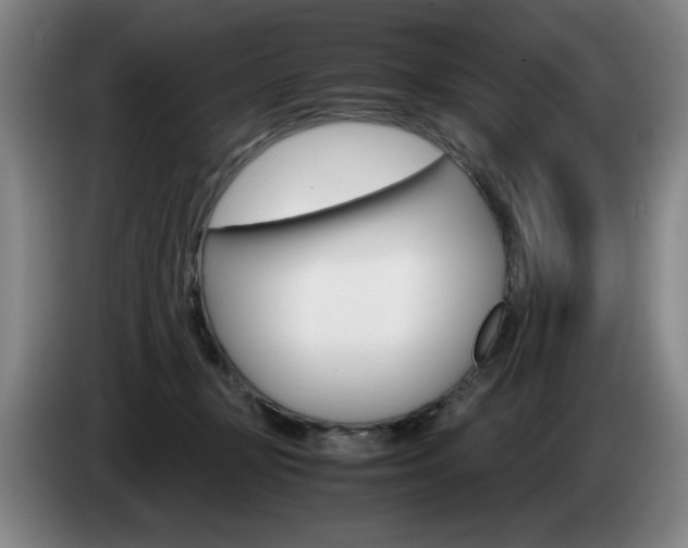 X0000085310367200703091059