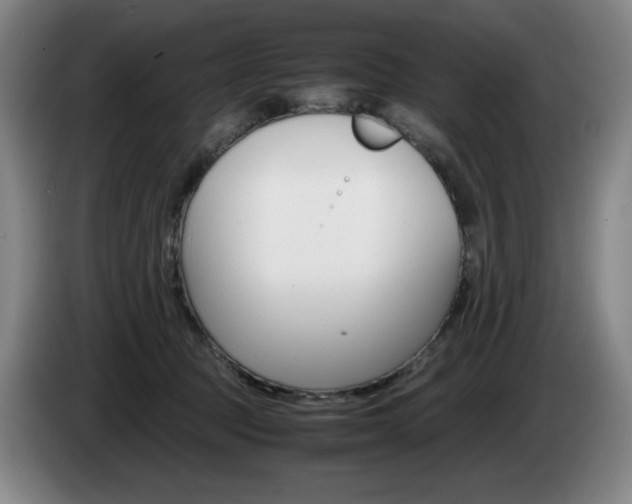 X0000085310369200703091059