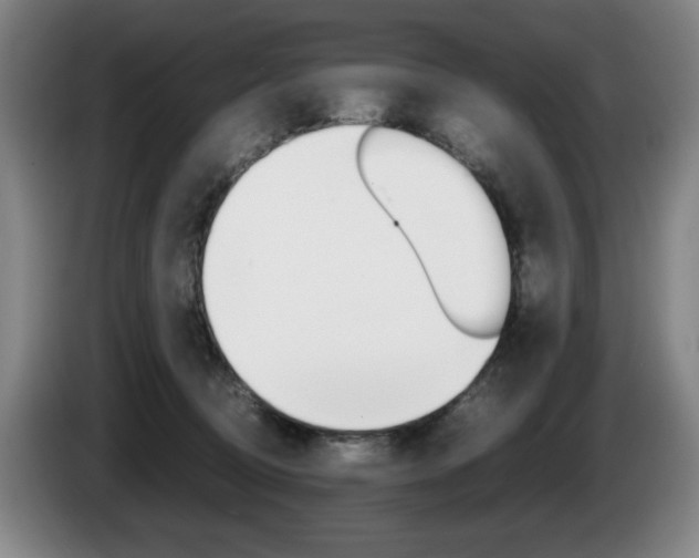 X0000085310370200703091059
