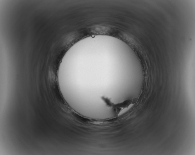 X0000085310371200703091059