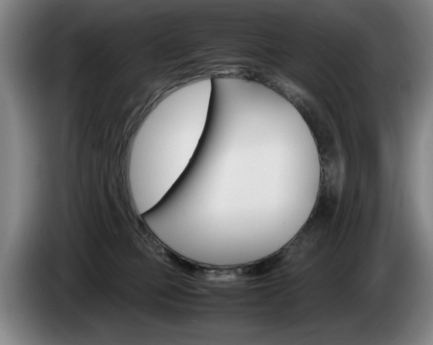 X0000085310373200703091059