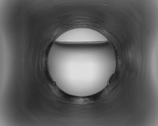 X0000085310379200703091059