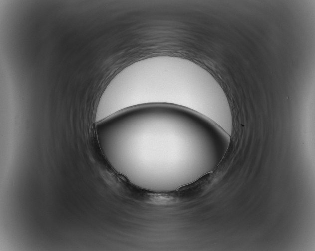 X0000085310380200703091059
