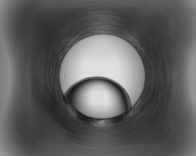 X0000085310382200703091059