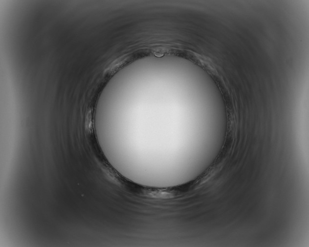 X0000085310383200703091059