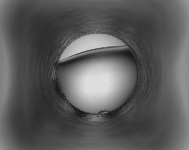 X0000085310384200703091059