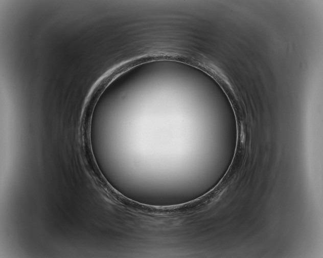 X0000085310388200703091058