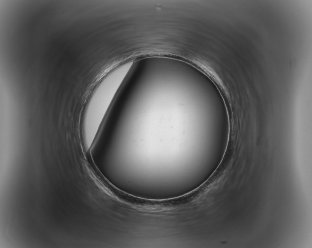 X0000085310389200703091058