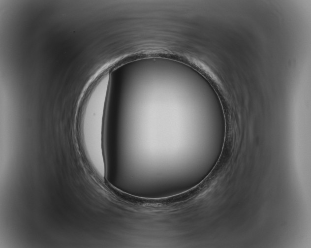 X0000085310391200703091058