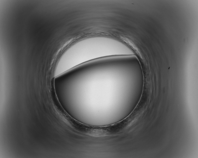 X0000085310399200703091058