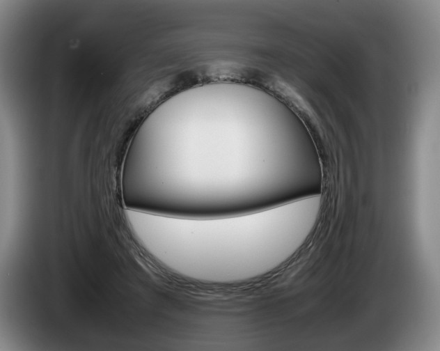 X0000085310401200703091058