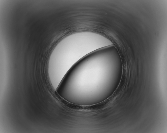 X0000085310404200703091058