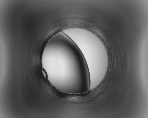 X0000085310407200703091058