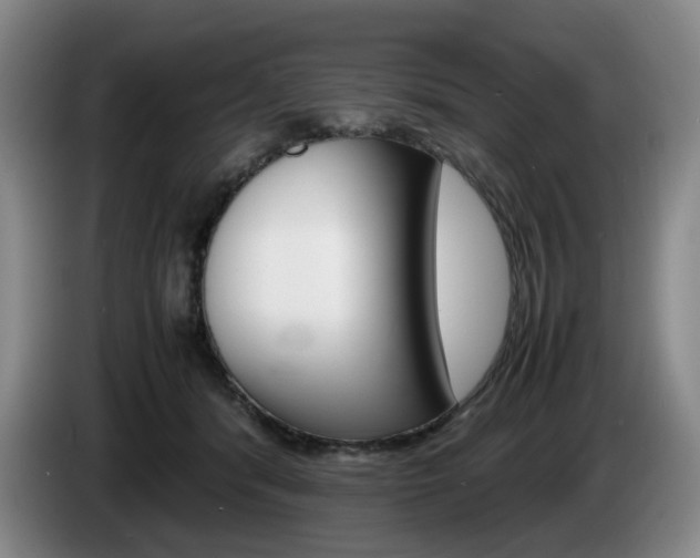 X0000085310416200703091058