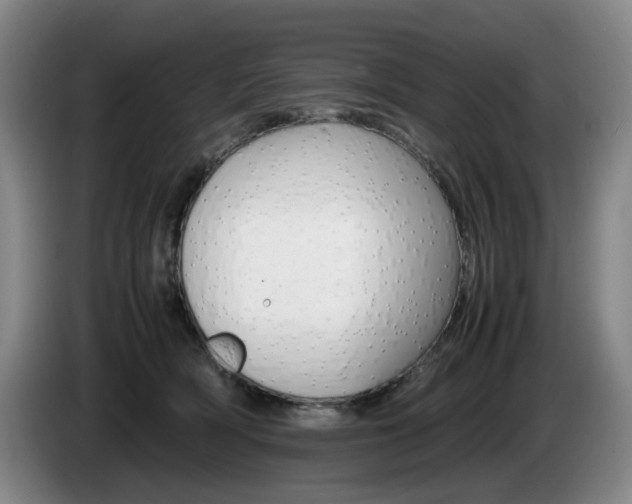 X0000085310418200703091058