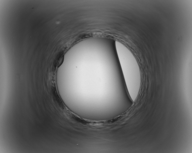 X0000085310419200703091058